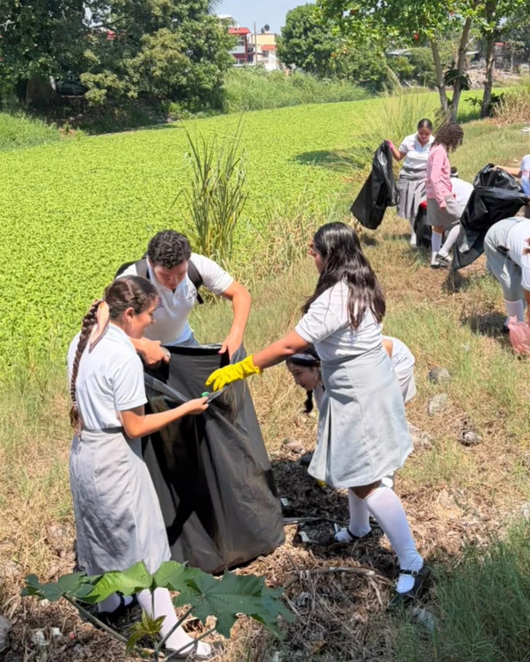 Voluntarios IMPACTO limpieza
